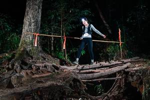 BIB: 
                            <button type="button" onclick="openModal(27426778)" class="btn btn-primary btn-sm float-right btn-popup" data-toggle="modal" data-target=".modal-high-quality">
                        <i class="fas fa-shopping-cart"></i> Add to Cart
                    </button>
                                            <button type="button" onclick="isThisMe(27426778, true)" class="btn btn-success btn-sm float-right btn-popup btn-isme hidden" data-toggle="tooltip" data-placement="bottom" title="นี่คือรูปของคุณใช่ไหม คลิกที่นี่เพื่อเอาเข้าอัลบั้ม">
                        <i class="fas fa-plus"></i> Add to album
                    </button>
                    <button type="button" onclick="isThisMe(27426778, false)" class="btn btn-warning btn-sm float-right btn-popup btn-isnotme hidden">
                        <i class="fas fa-ban"></i> Remove from album
                    </button>